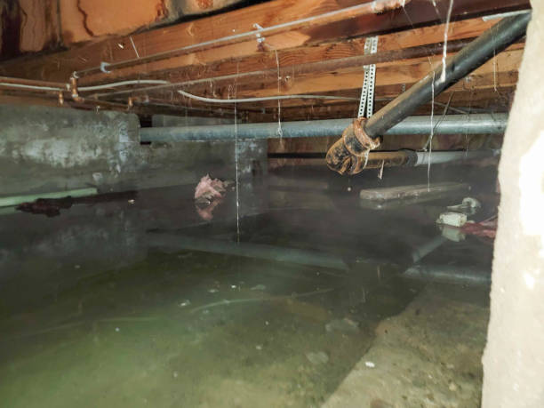 Best 24/7 water damage repair  in Swartz, LA