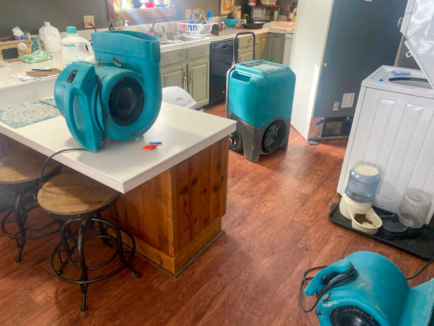 Best Ceiling water damage repair  in Swartz, LA