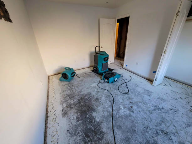 Best Carpet water damage restoration  in Swartz, LA