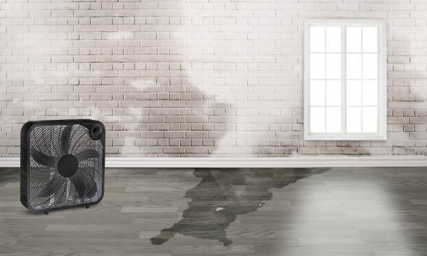 Best Emergency water damage restoration  in Swartz, LA
