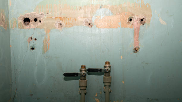 Best Local water damage restoration  in Swartz, LA