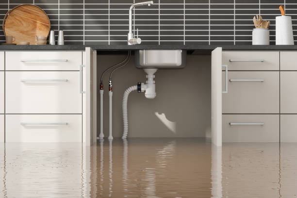 Best Commercial water damage restoration  in Swartz, LA